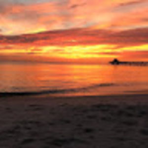 Meet your Posher, Claudia